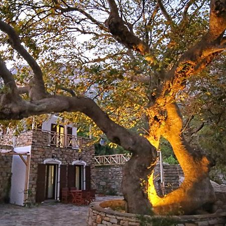 Villa Ικαριων Γη Manganítis Exterior foto