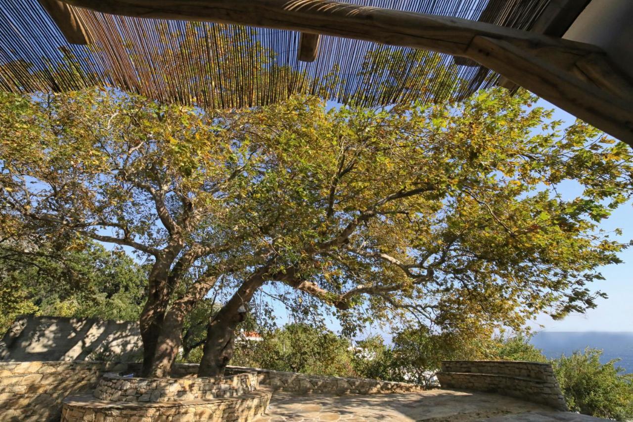 Villa Ικαριων Γη Manganítis Exterior foto
