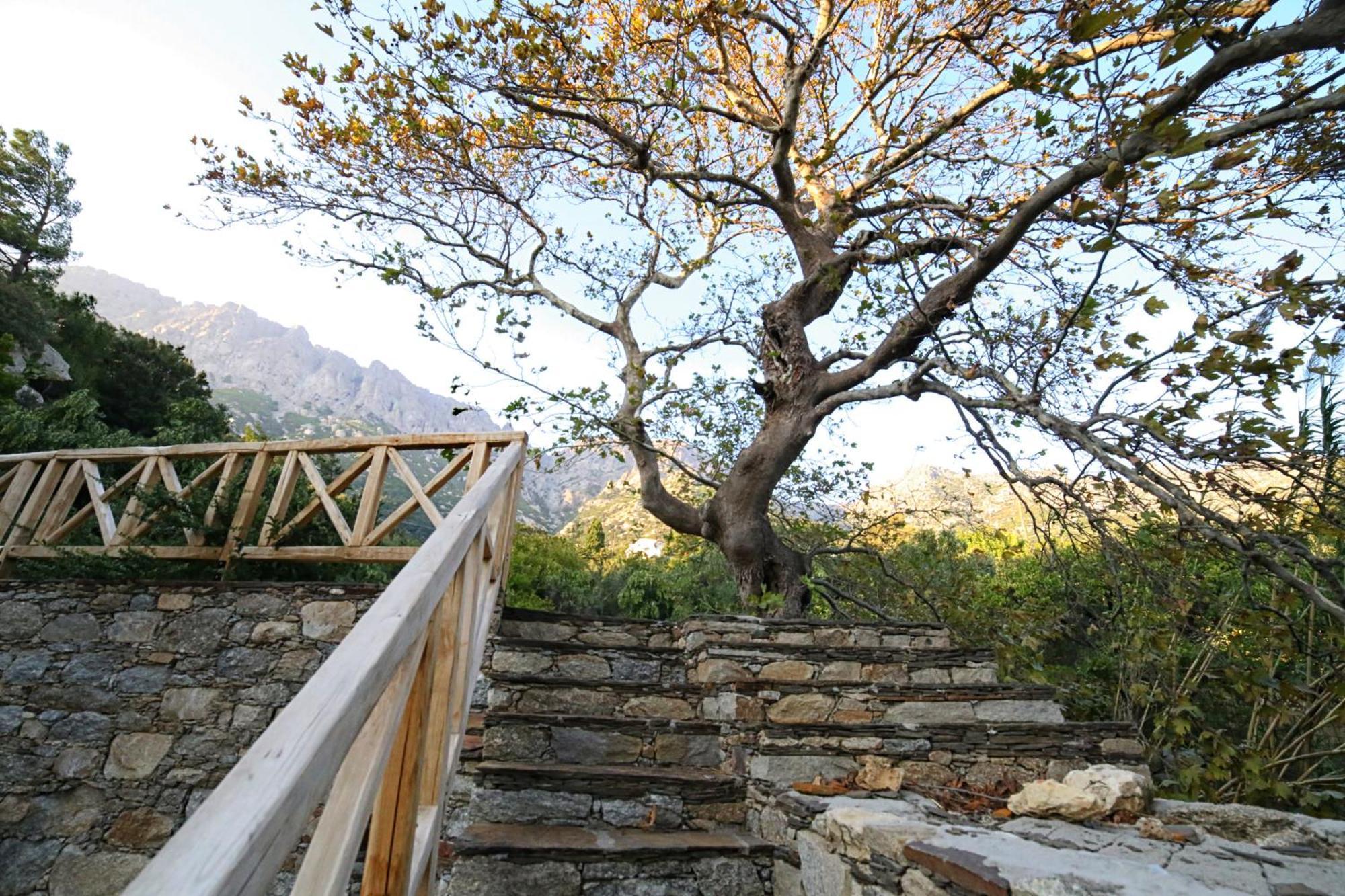 Villa Ικαριων Γη Manganítis Exterior foto